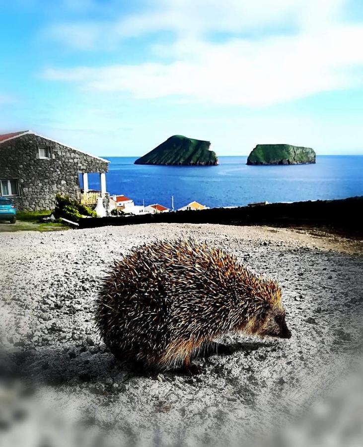 Feteira  Breathe Nature - Beach House Azores מראה חיצוני תמונה